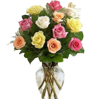 15 multi-colored roses | Flower Delivery Chita